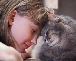 พฤติกรรมของแมว ที่แมวชอบมาดมกลิ่นที่หน้าของเรา