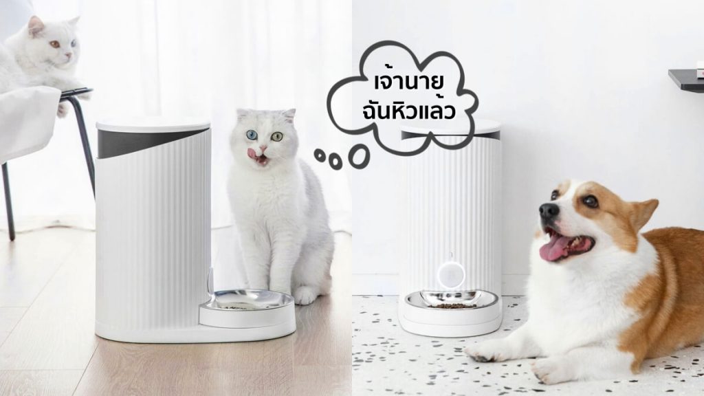 Xiaomi Furrytail Pet Smart Feeder